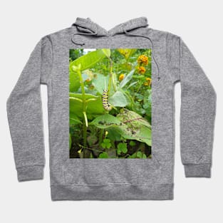 Monarch Butterfly Caterpillar Hoodie